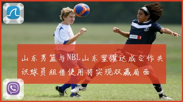 山东男篮与NBL山东蜜獾达成合作共识球员租借使用将实现双赢局面